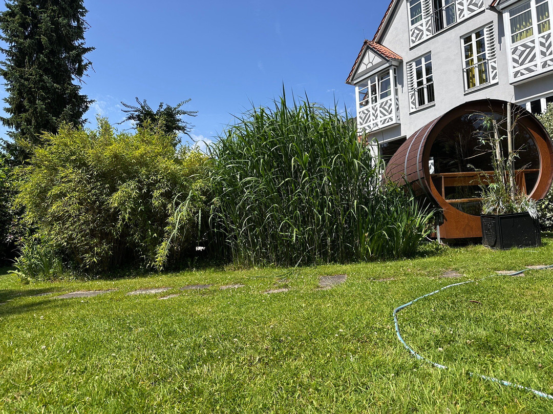 Romantisches Hotel Menzhausen主图