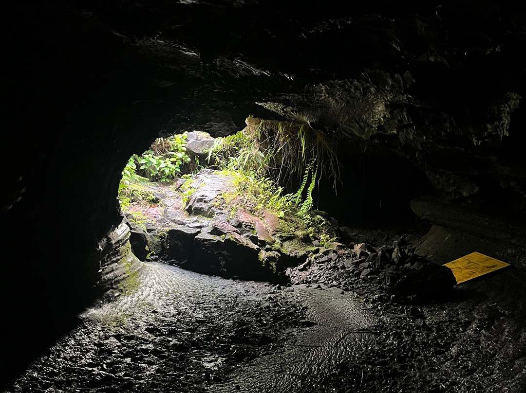 Tunnels de lave Réunion: Volcanorun景点图片