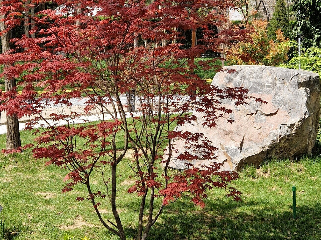 Japanese Garden-塔什干必去景点