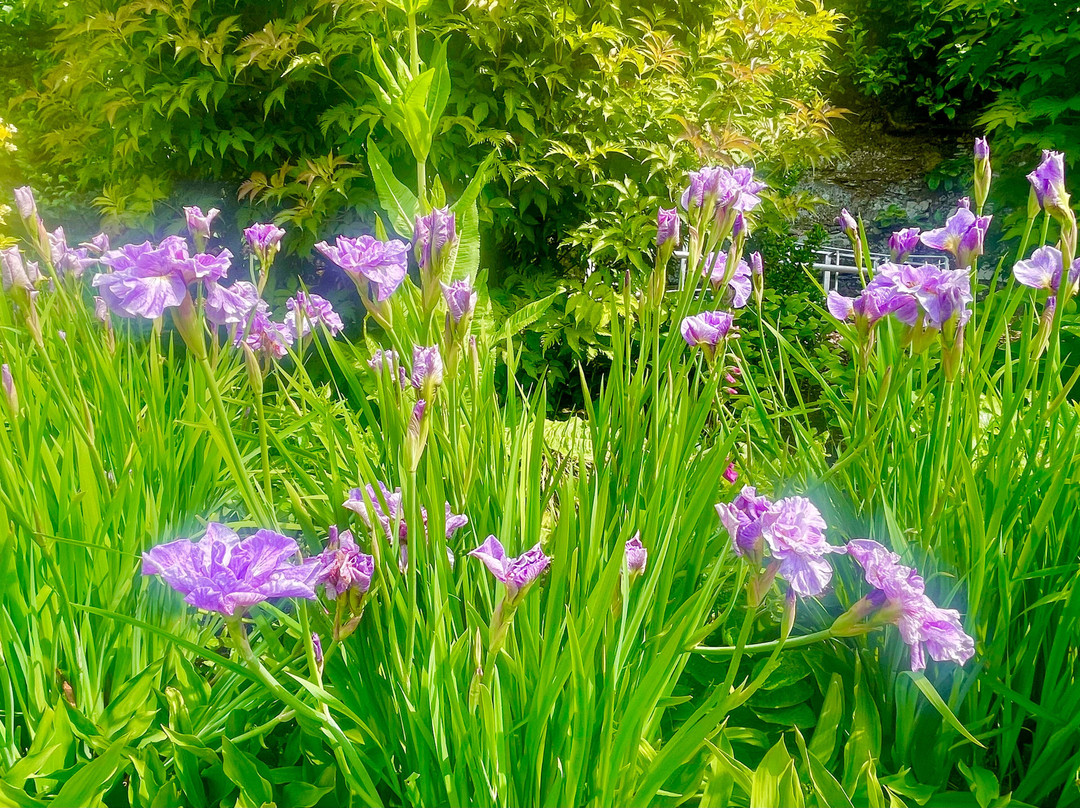 Ellon Castle Gardens-Ellon必去景点