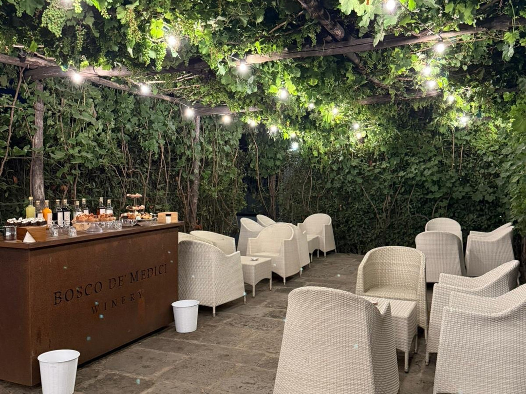 Bosco de Medici Winery景点图片