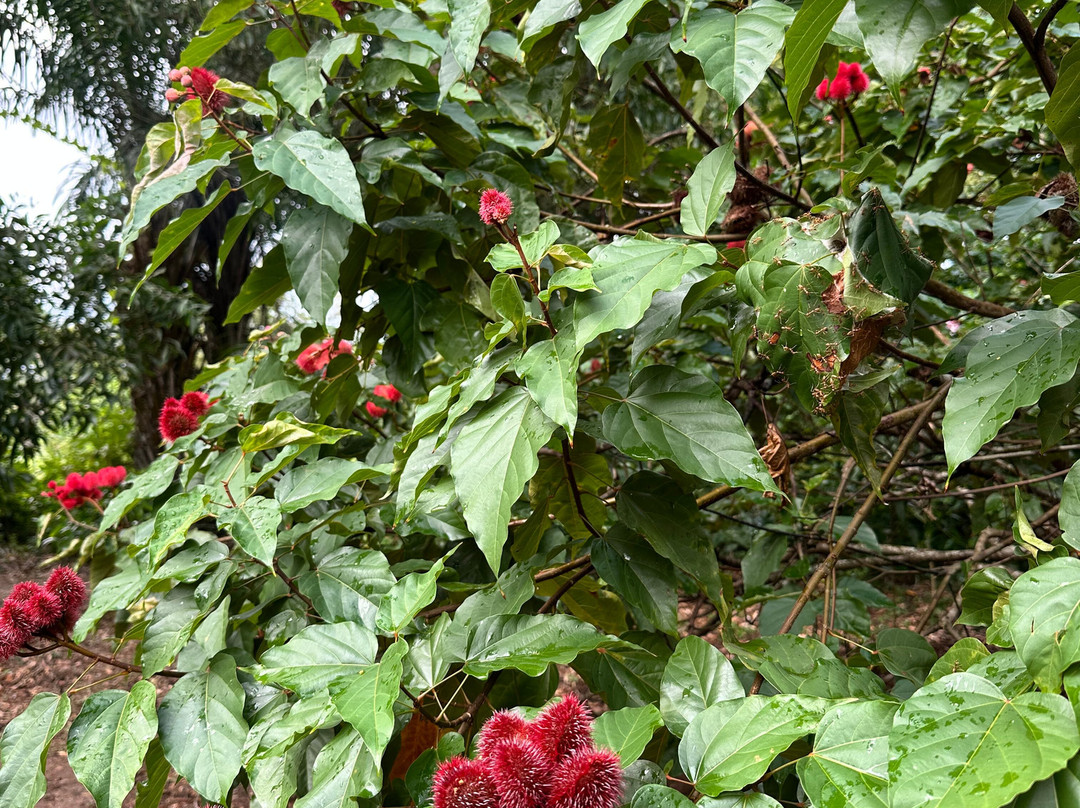 Ishaka Zanzibar Tours & Travel-必韦久必去景点