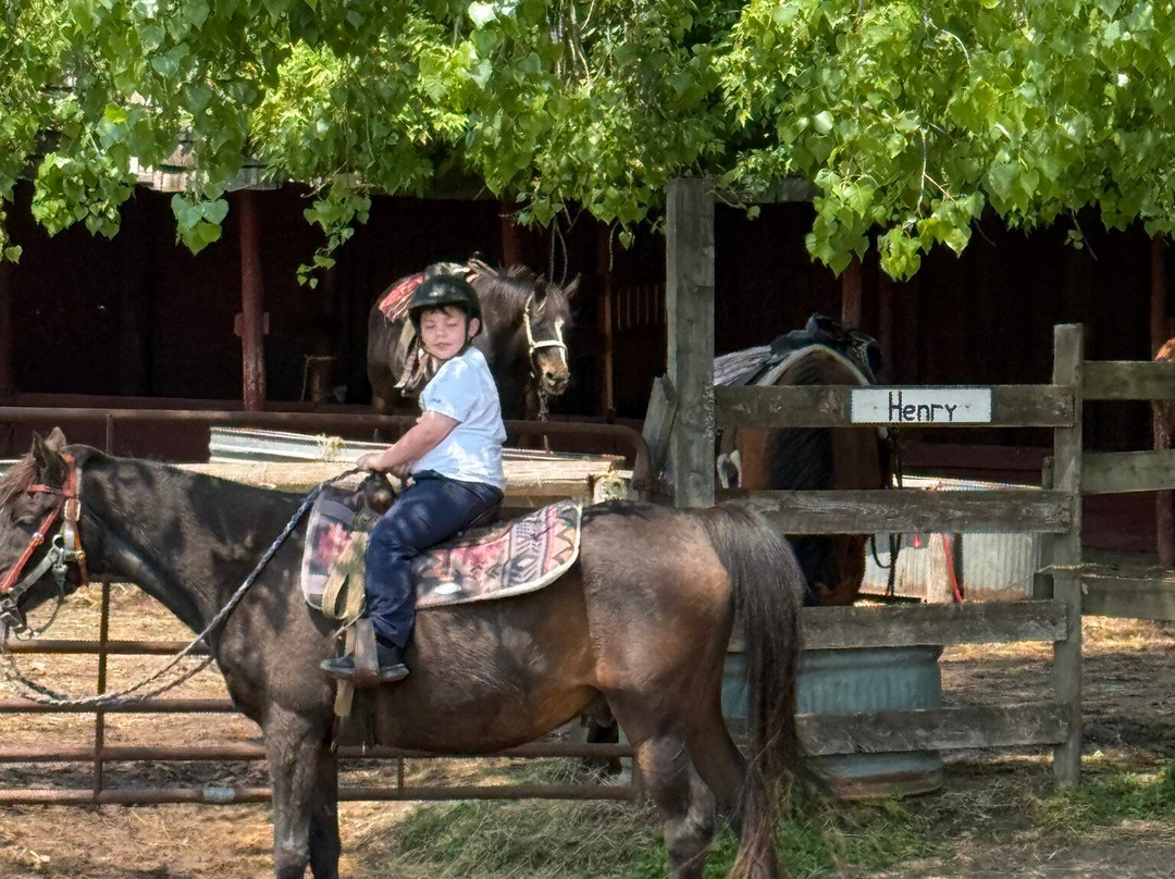 Kurtz Corral-斯特金贝必去景点