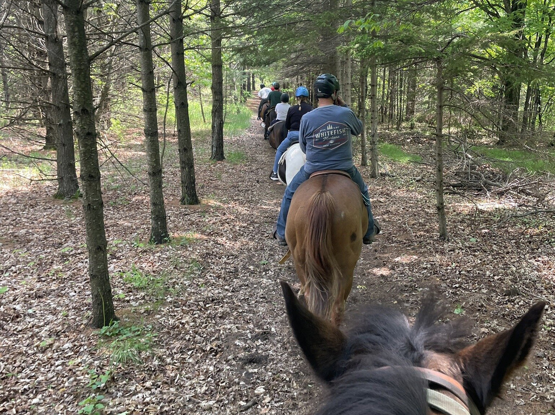 Kurtz Corral-斯特金贝必去景点