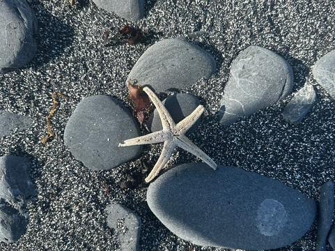 Kayak Kodiak LLC-Kodiak必去景点