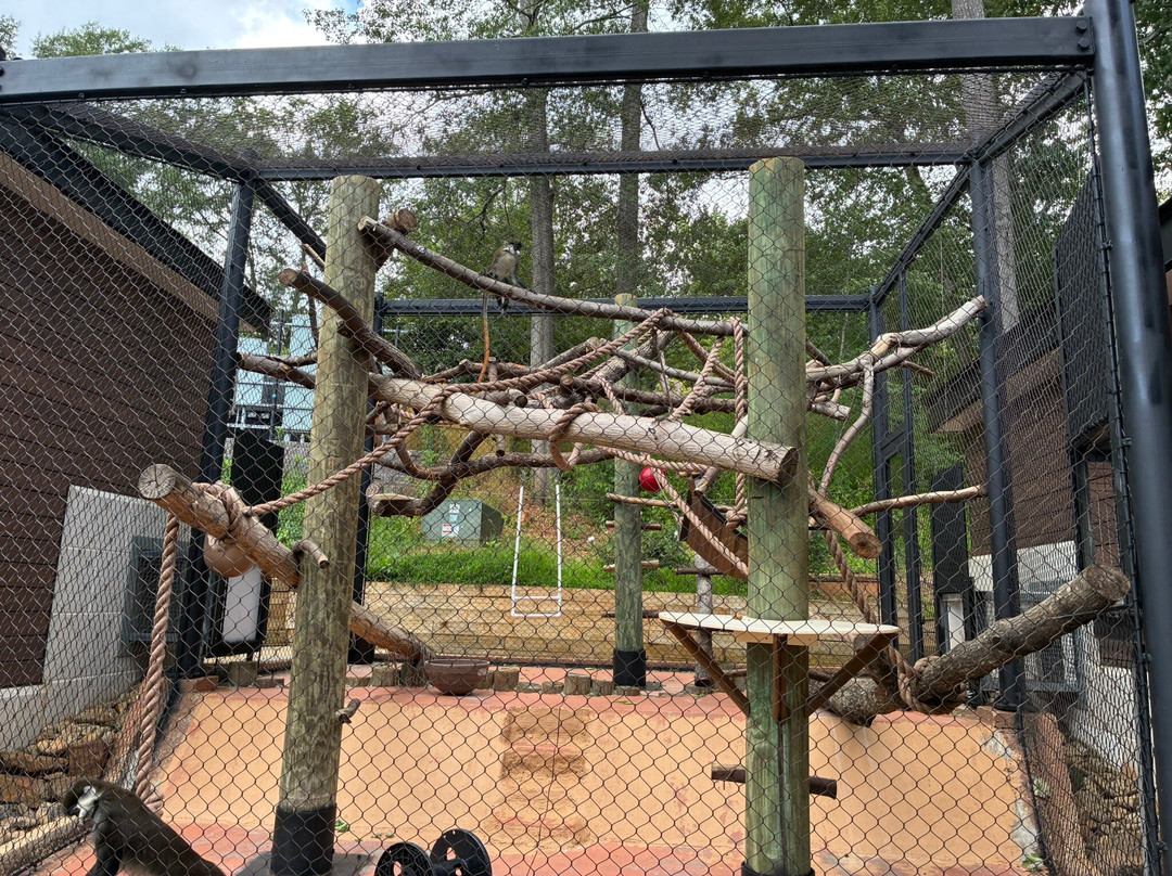 Greenville Zoo-格林维尔必去景点