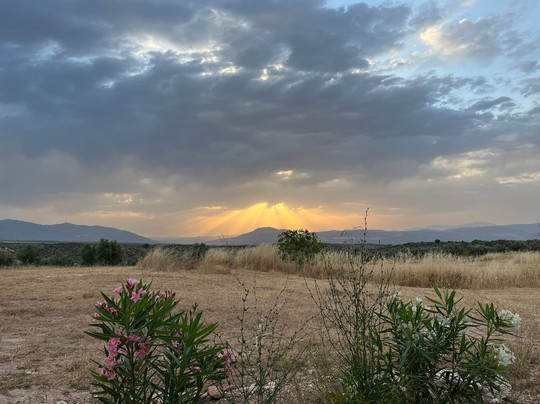 Finca Las Calmas Luxury Boutique Hotel & Retreats主图