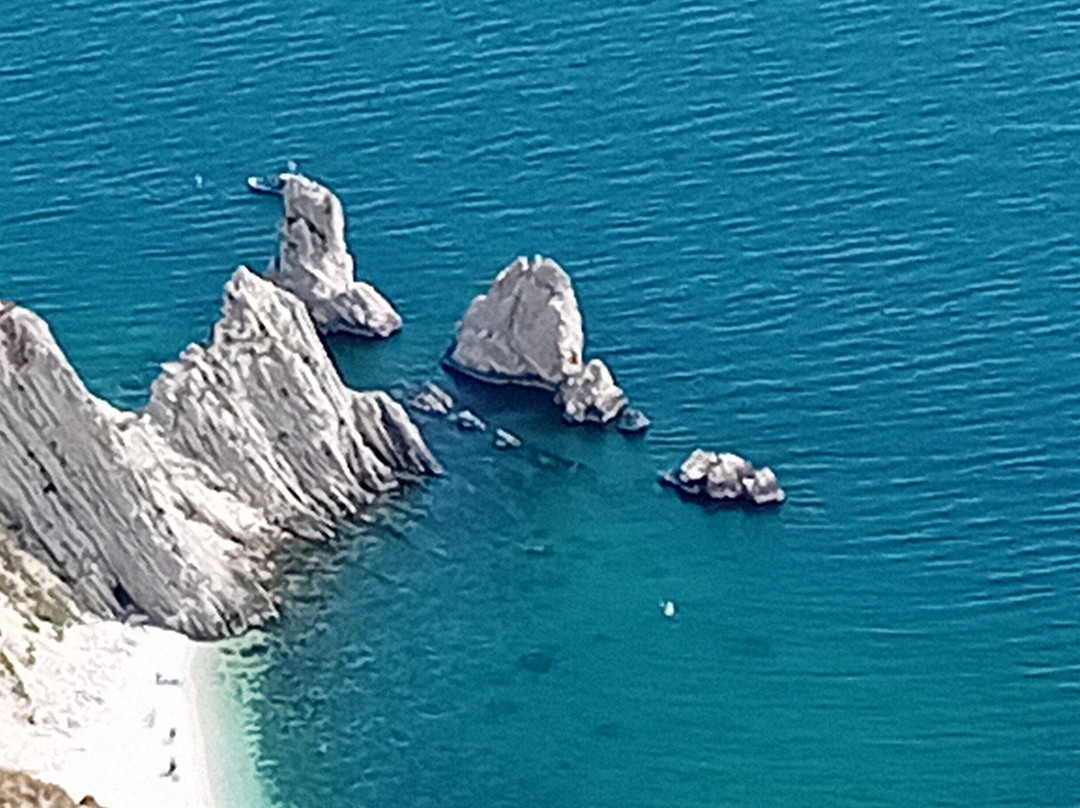 La Perla Del Conero Affittacamere主图