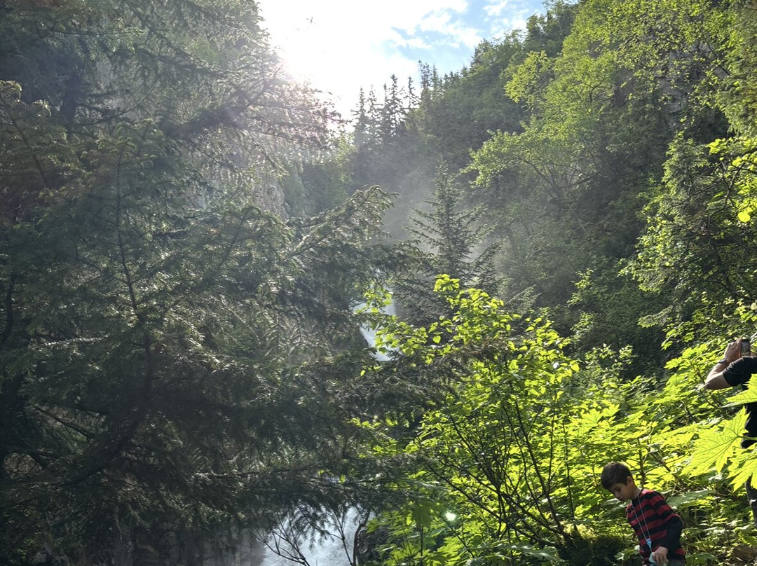 Lower Reid Falls-史凯威必去景点