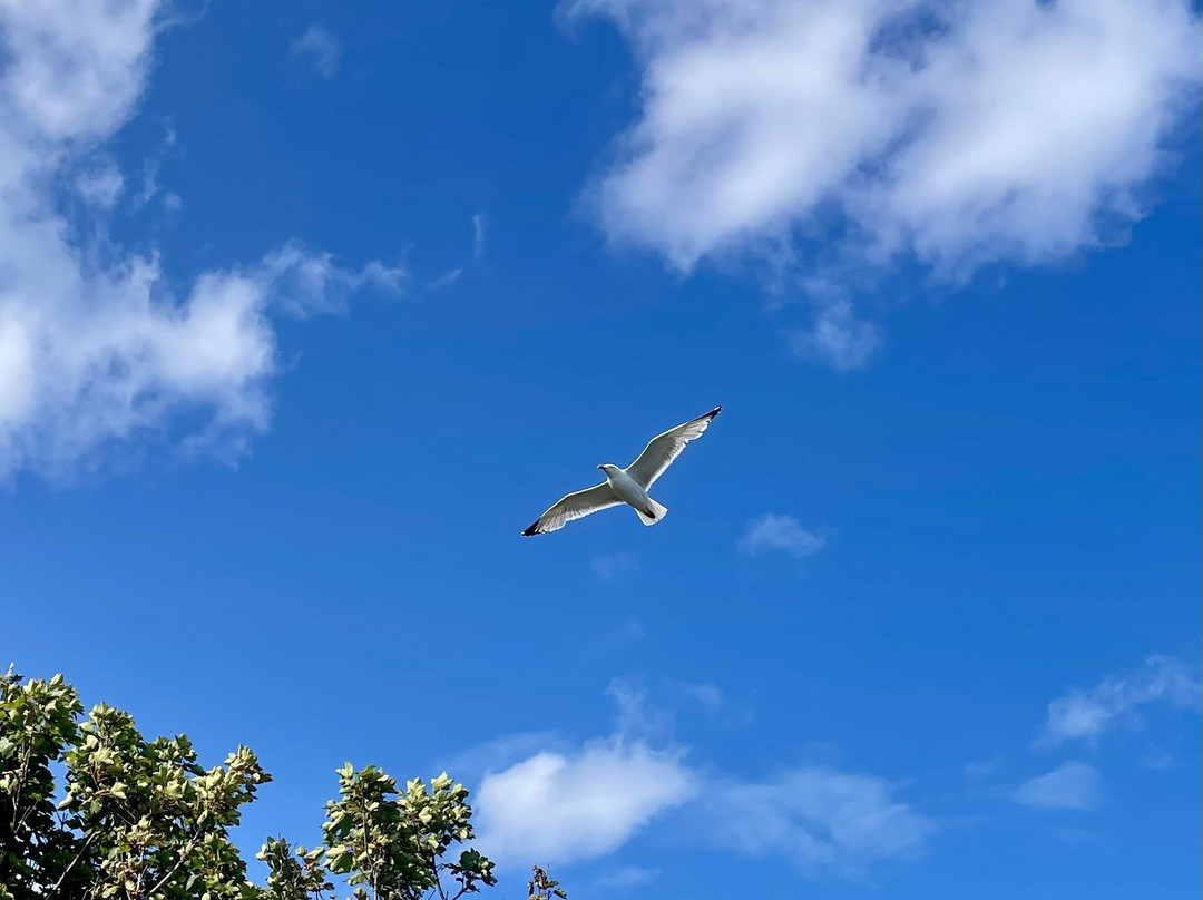 Fife Coastal Path-法夫郡必去景点