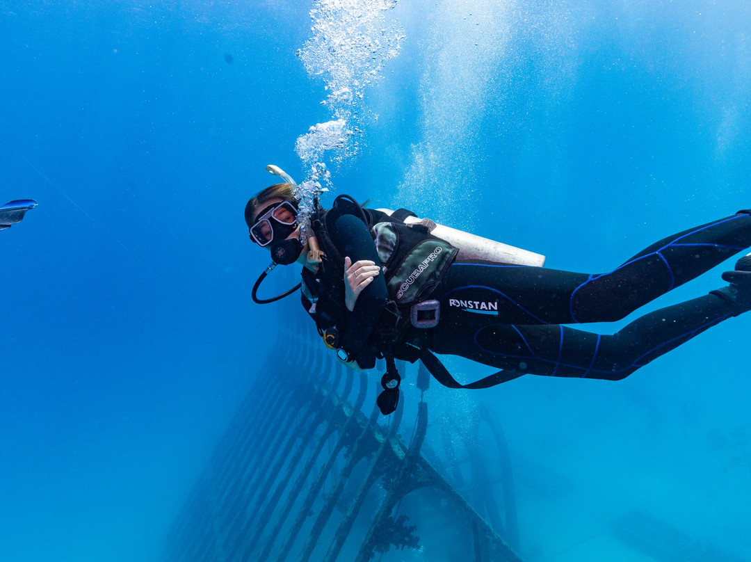 Adrenalin Snorkel and Dive-汤斯维尔必去景点