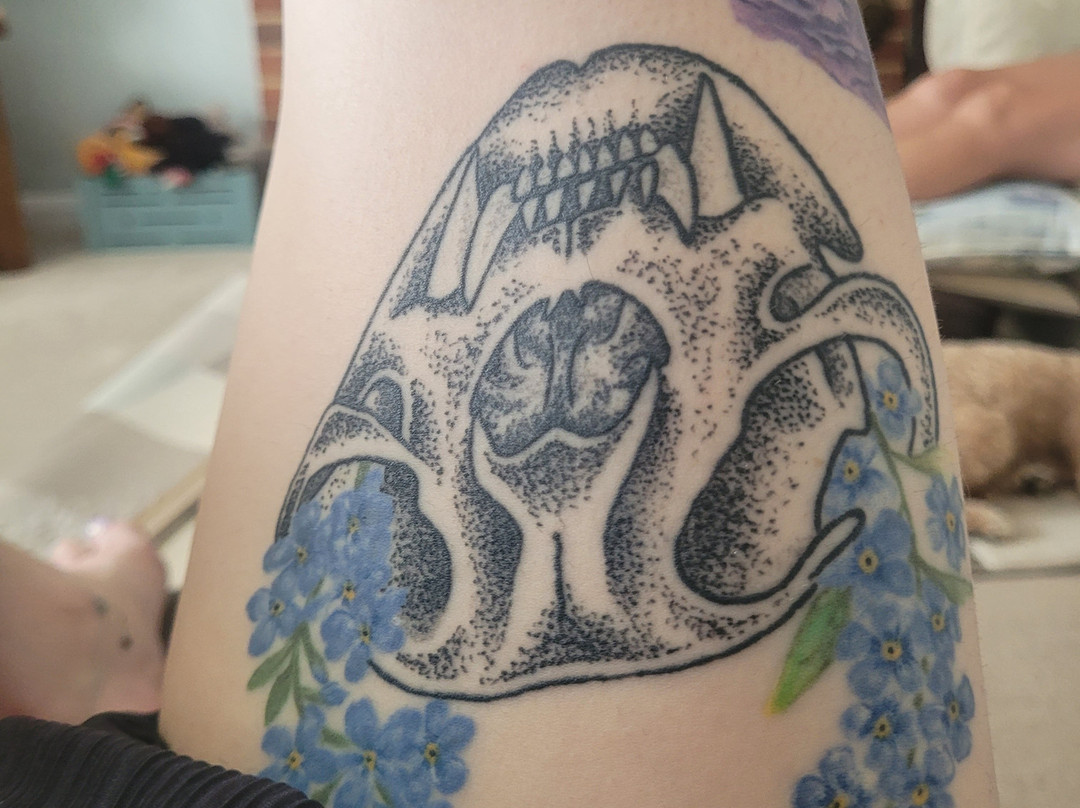 Red's Tattoo Parlour Ltd-科尔切斯特必去景点