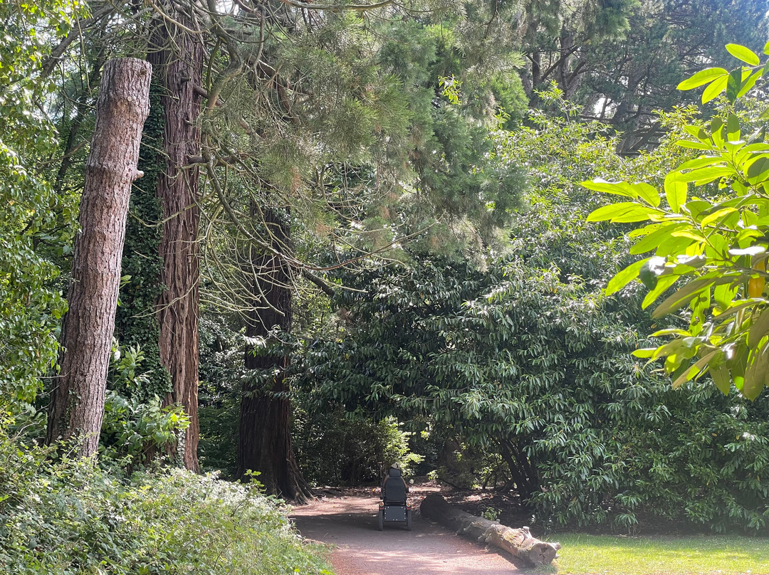 Tredegar House-纽波特必去景点