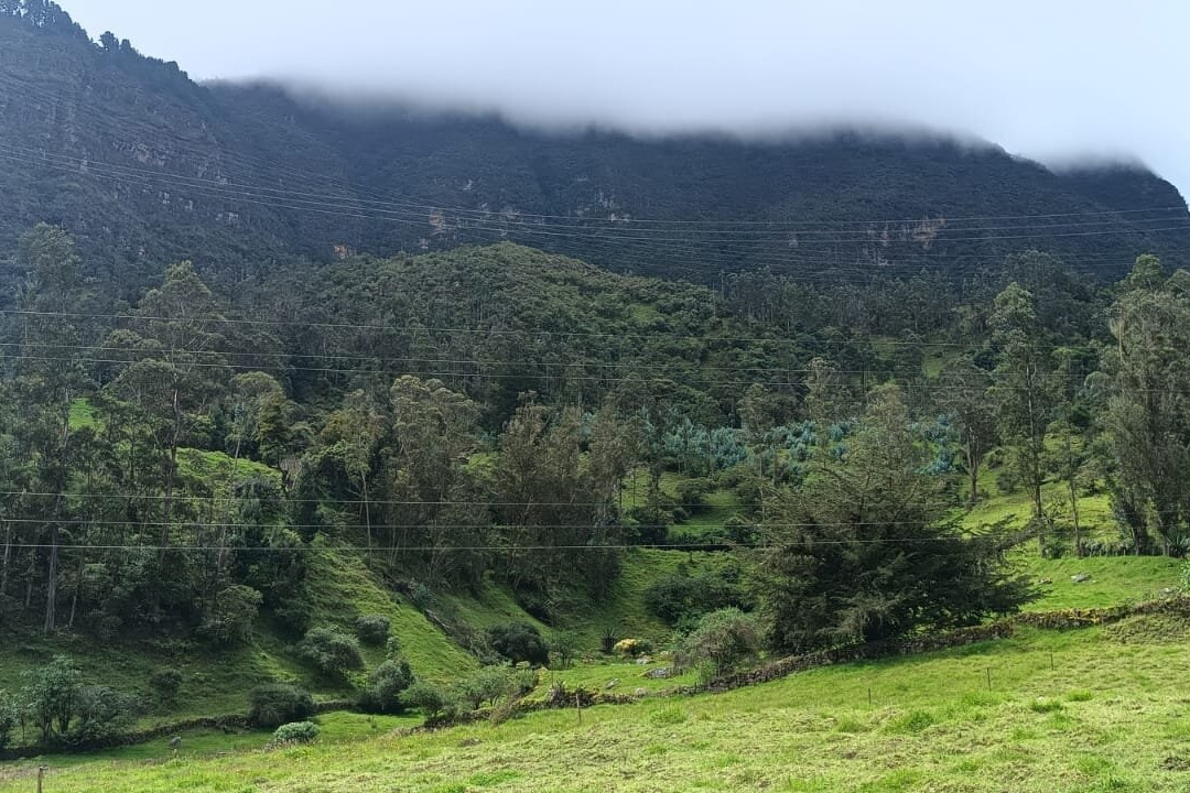 Cascada Nemusten-Sueva-Junin必去景点