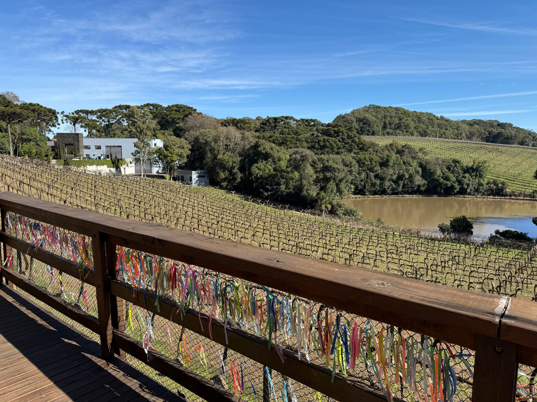 Vinicola Quinta Don Bonifacio-南卡希亚斯必去景点