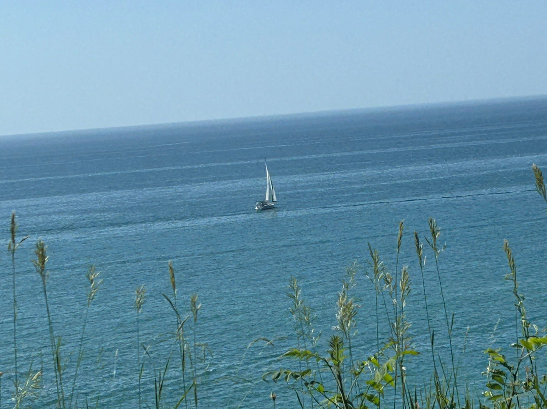 Stearns Park-拉丁顿必去景点