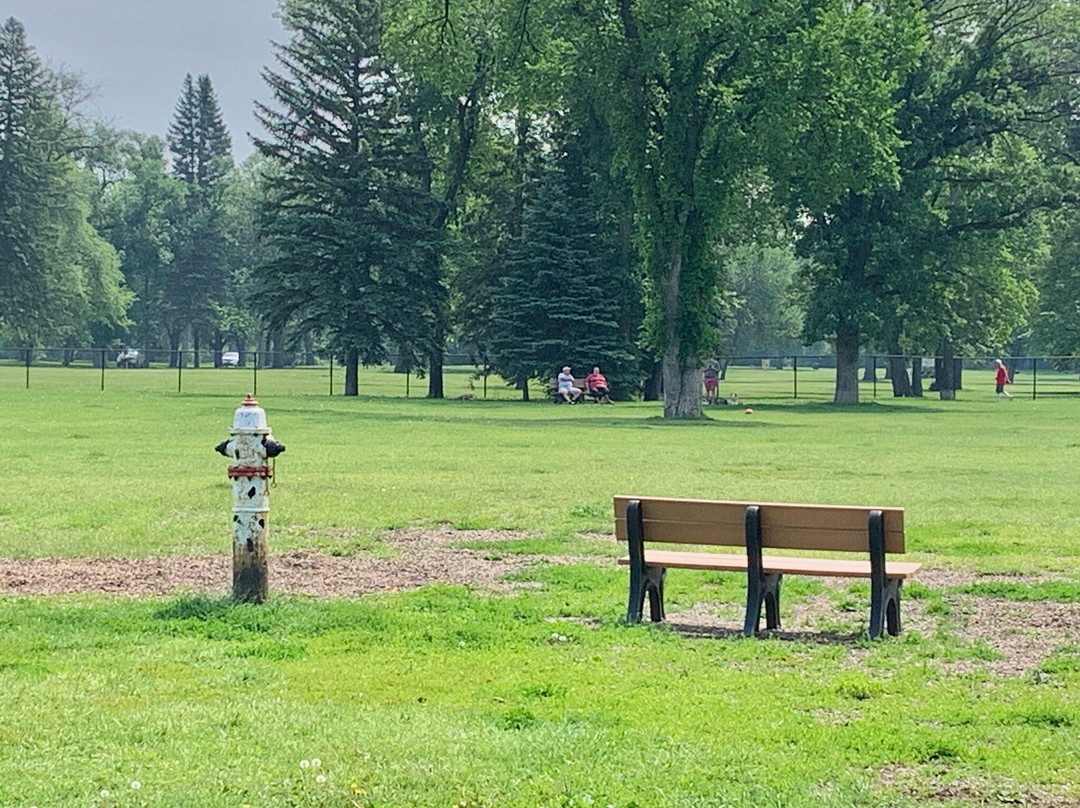 Lincoln Dog Park Grand Forks