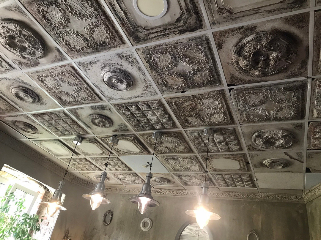 Tolstoy Coffee House