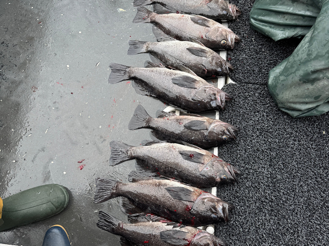 Alaskan Fishing Adventures-索尔多特纳必去景点