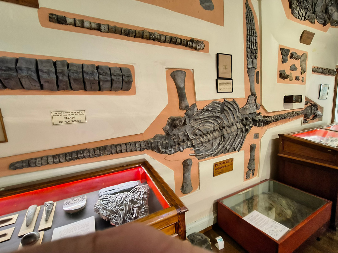 Whitby Museum-惠特比必去景点