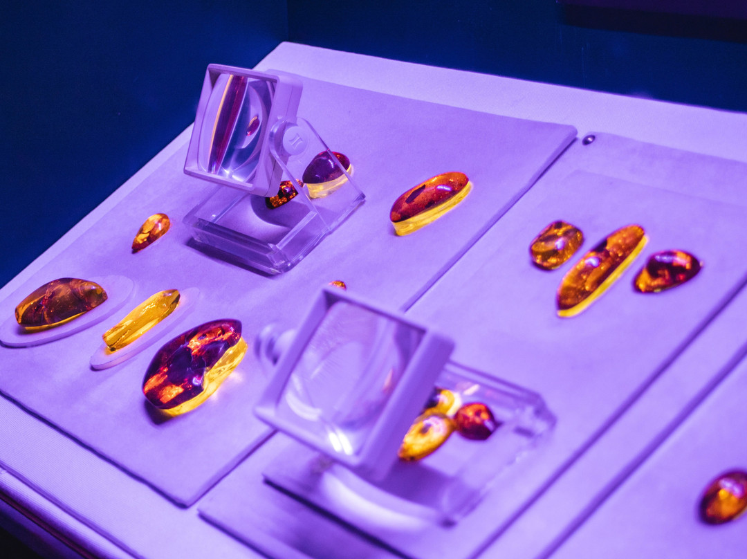 Amber World Museum-圣多明哥必去景点