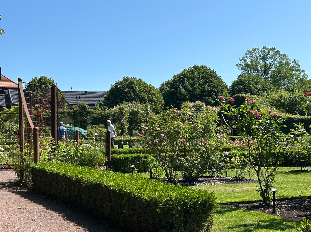 Rosenlunds Rosarium-延雪平必去景点
