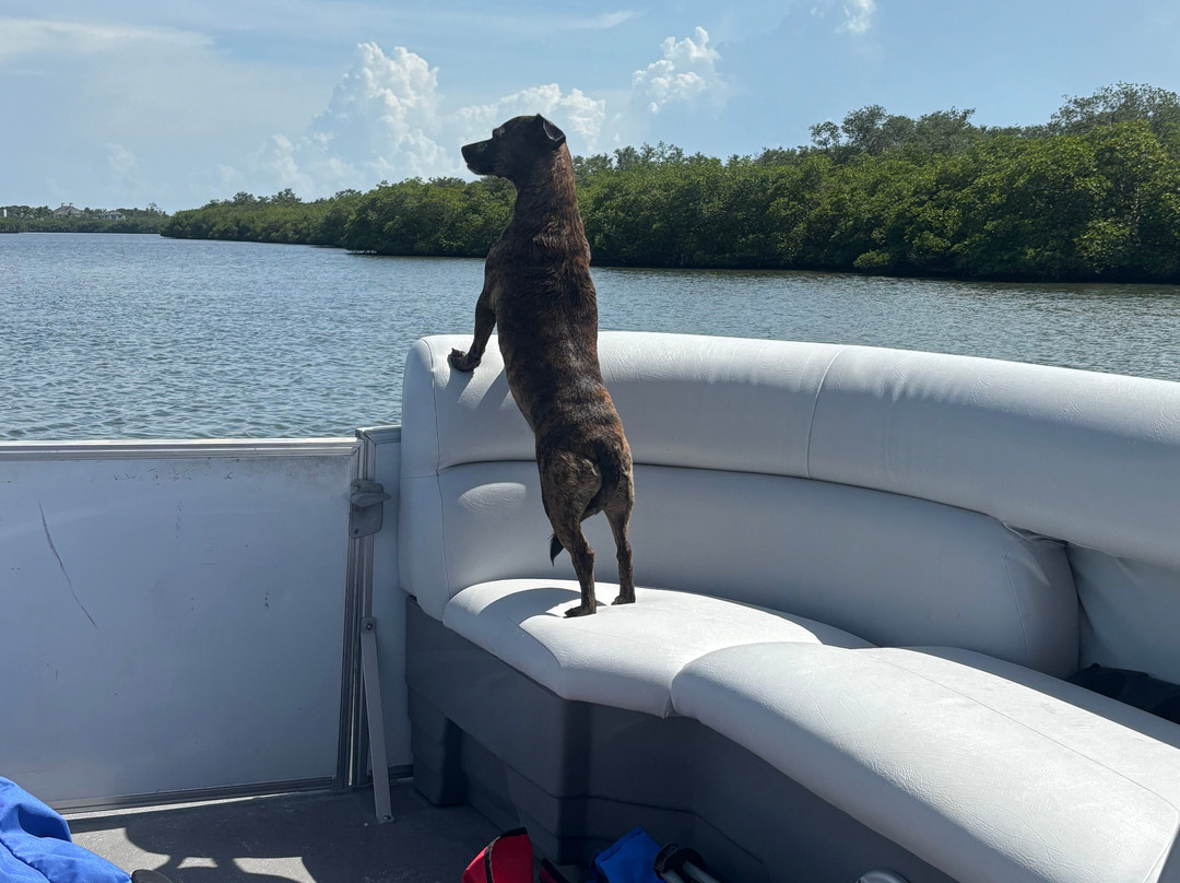 Florida Boat Rentals-维罗海滩必去景点