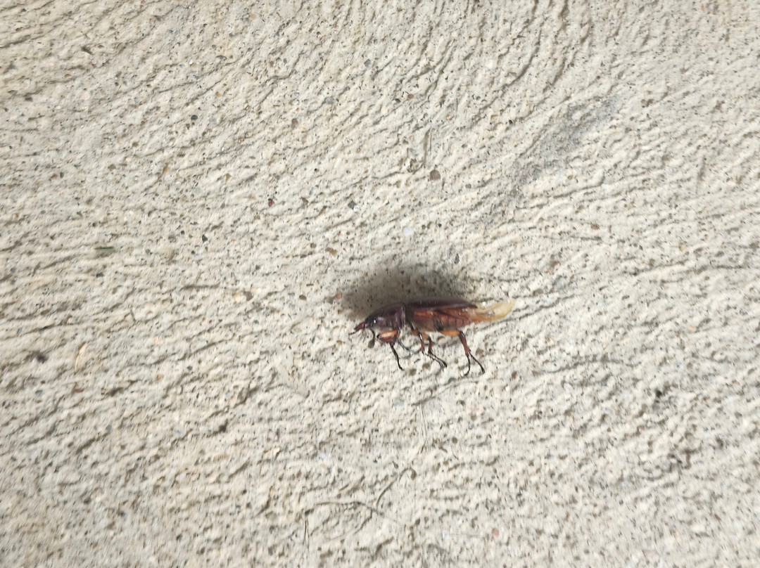 俄亥俄大学旅馆及会议中心主图