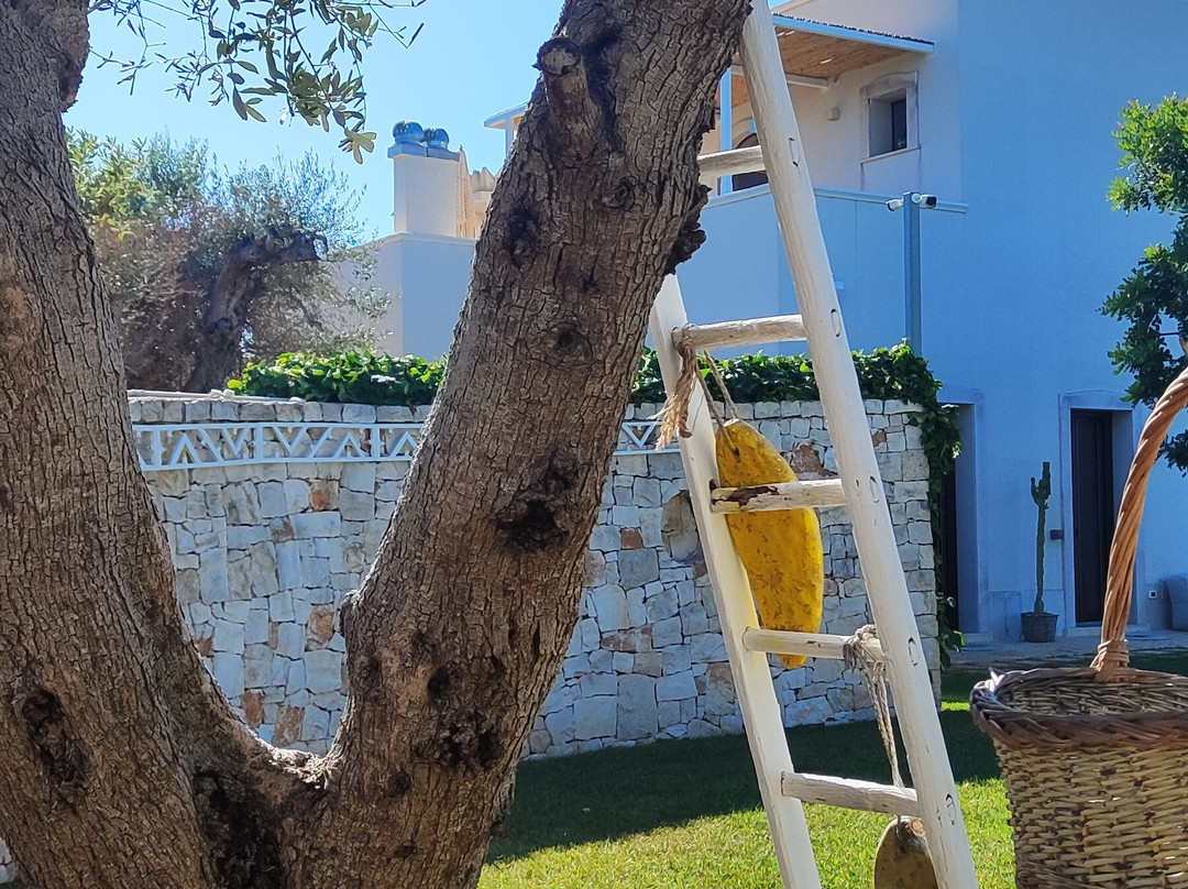 B&B Villa Mamma Grazia主图