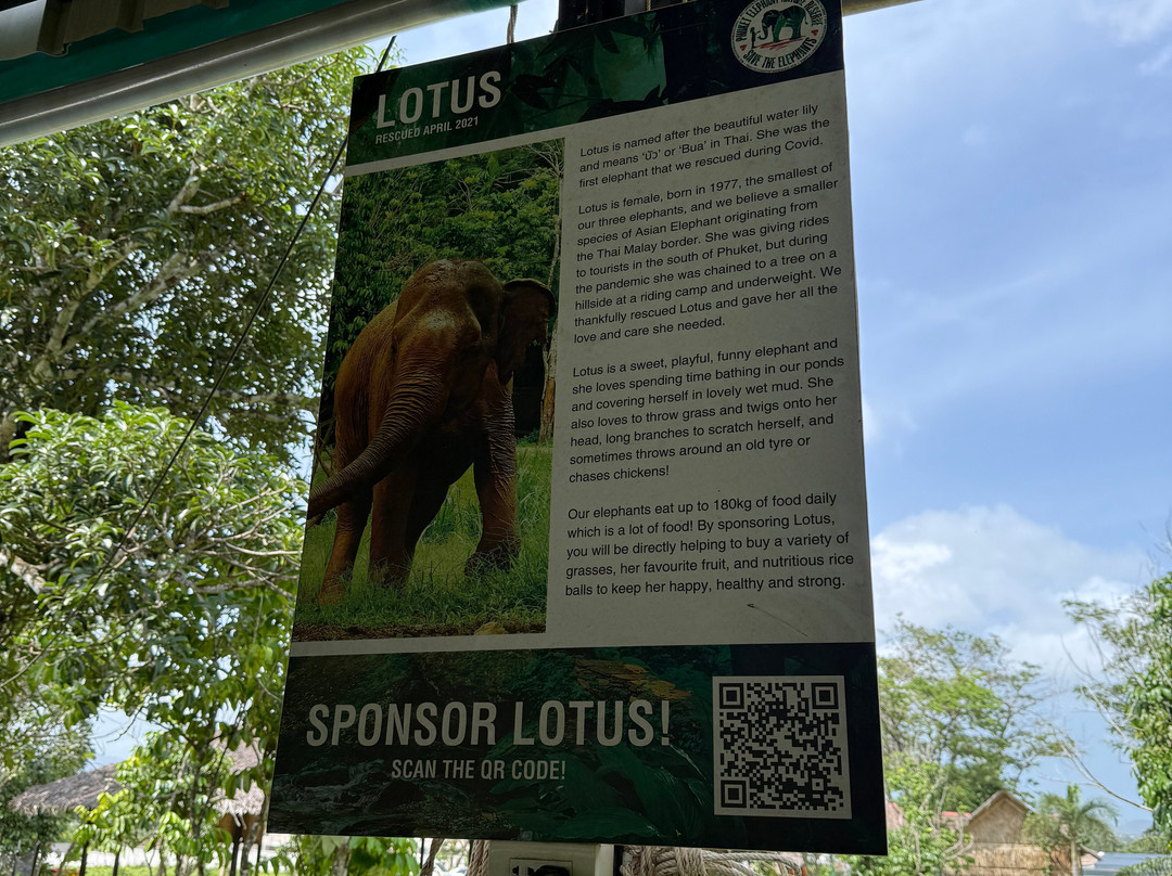 Phuket Elephant Nature Reserve-他朗必去景点