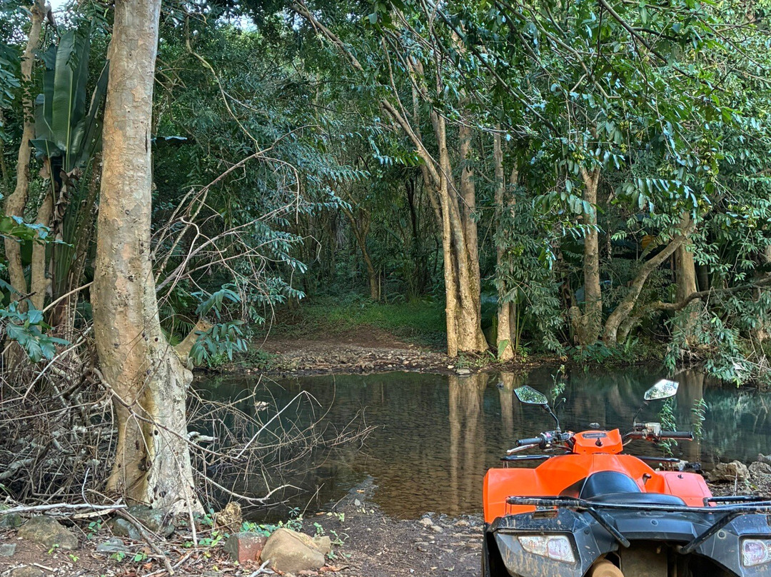 Quad Activities Constance Flacq-Centre de Flacq必去景点