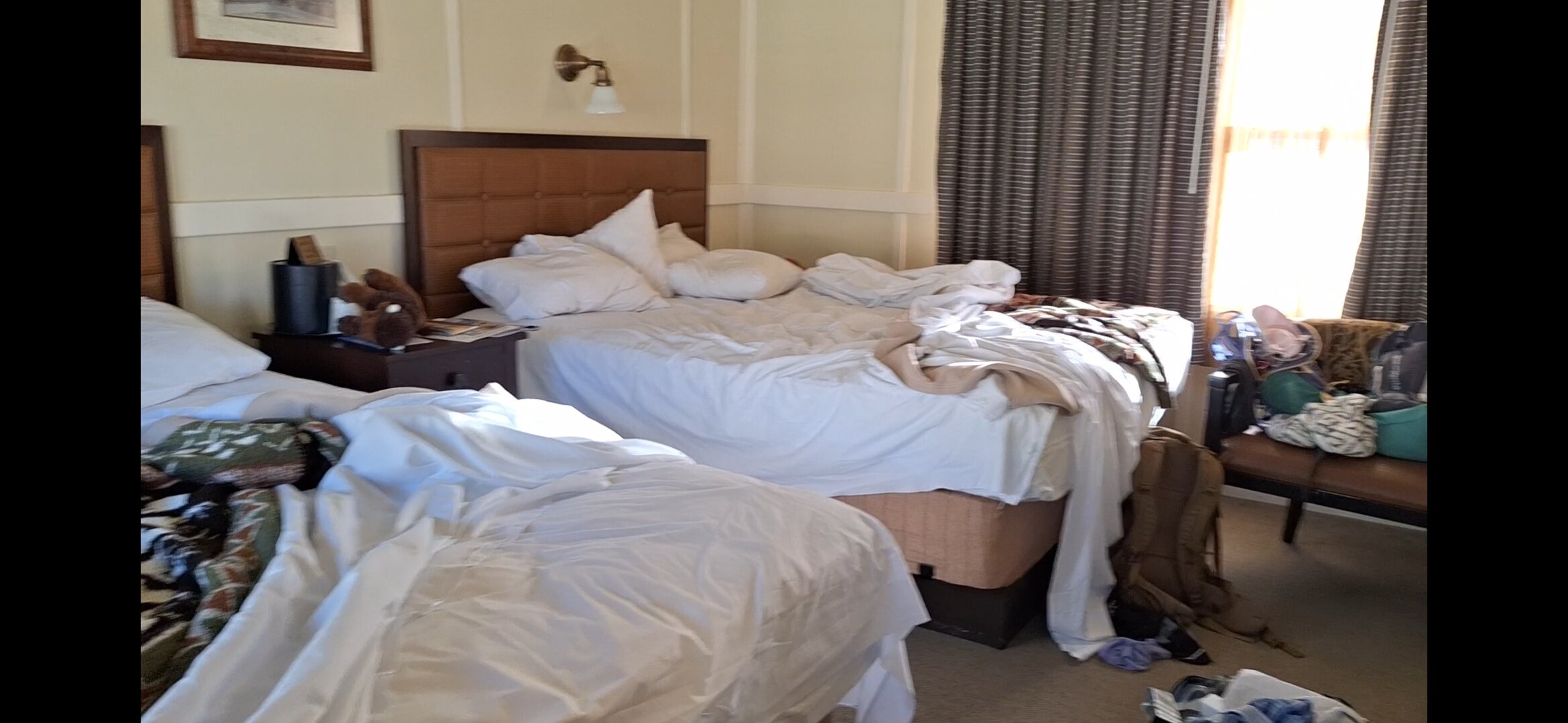 长毛象温泉小屋酒店-官方