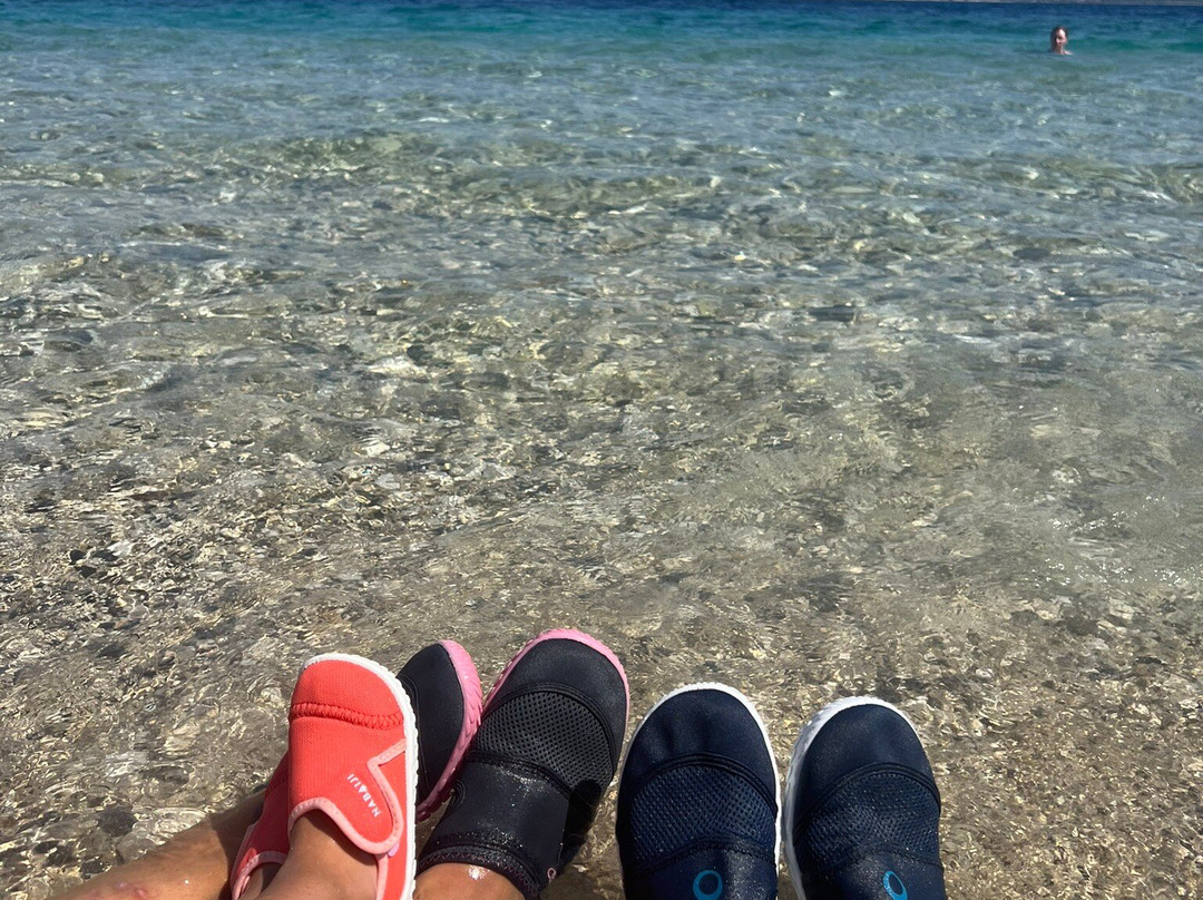 Marathonísi-扎金索斯必去景点