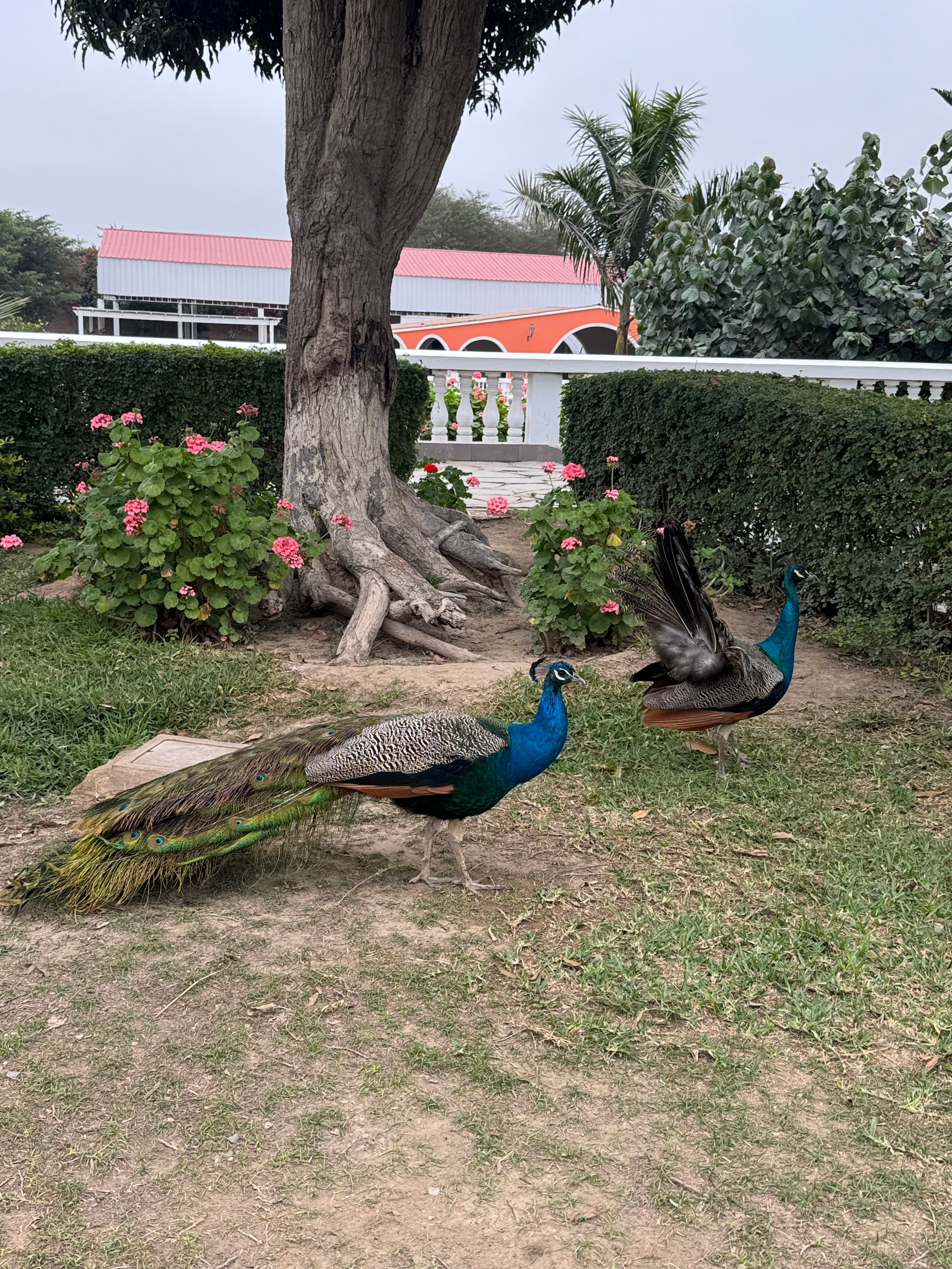 Hotel Hacienda San Juan Resort-官方