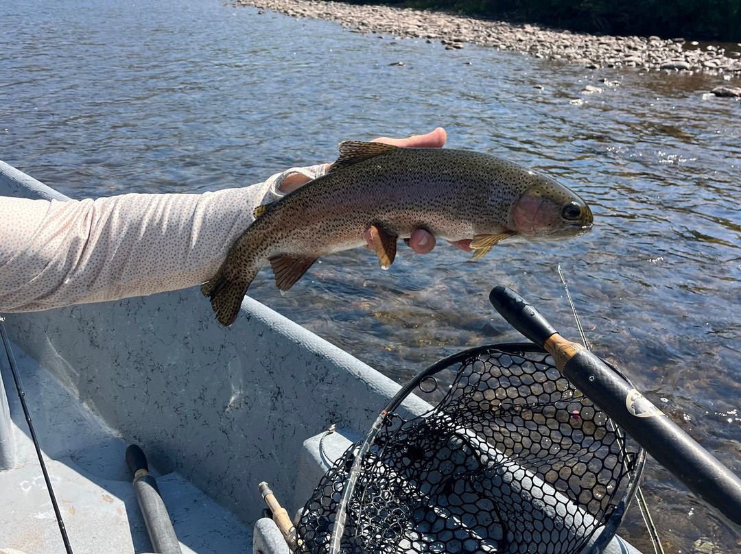 Liberty Fly Fishing-Edwards必去景点