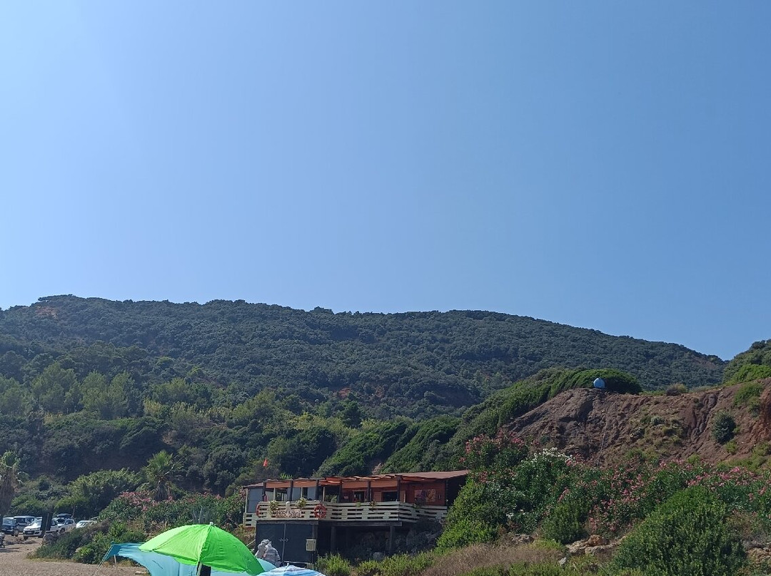 Cala Seregola-Rio Marina必去景点