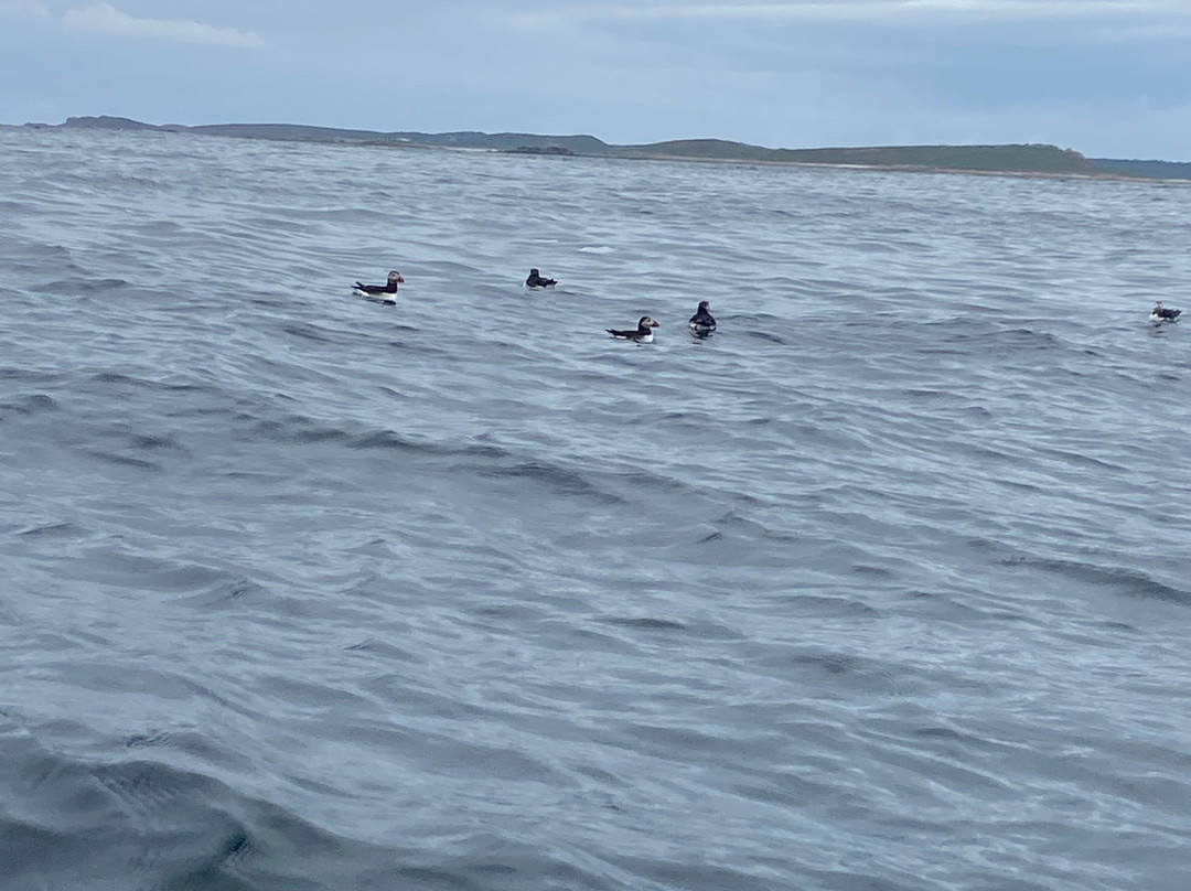 St Agnes Watersports-St Agnes必去景点