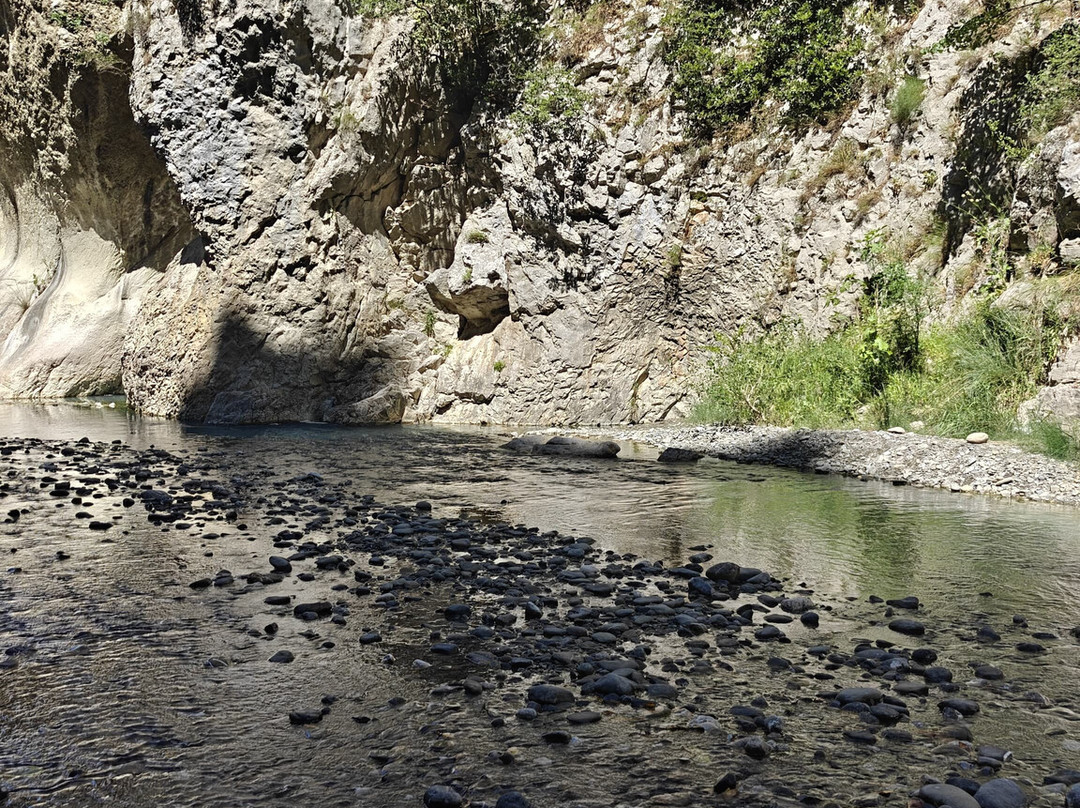 Go as Local-地拉那必去景点