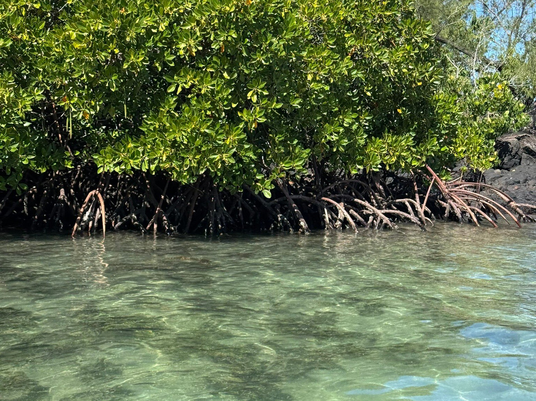 Robin De Mer-卓得多斯必去景点