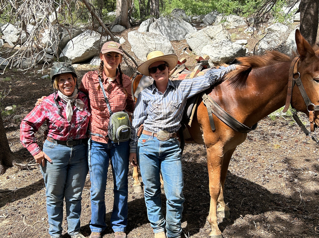 Rock Creek Pack Station-毕晓普必去景点