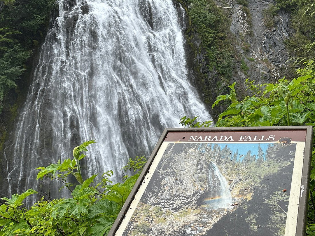 Narada Falls-Paradise必去景点