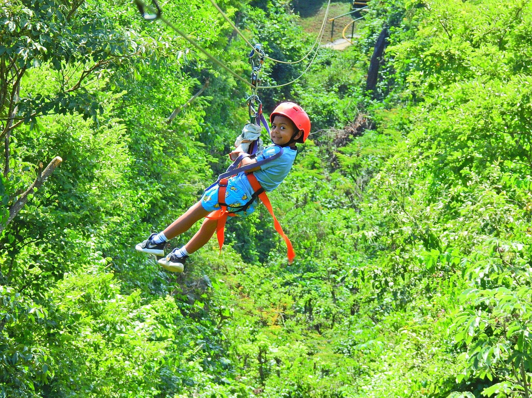Congo Canopy Tours-Artola必去景点