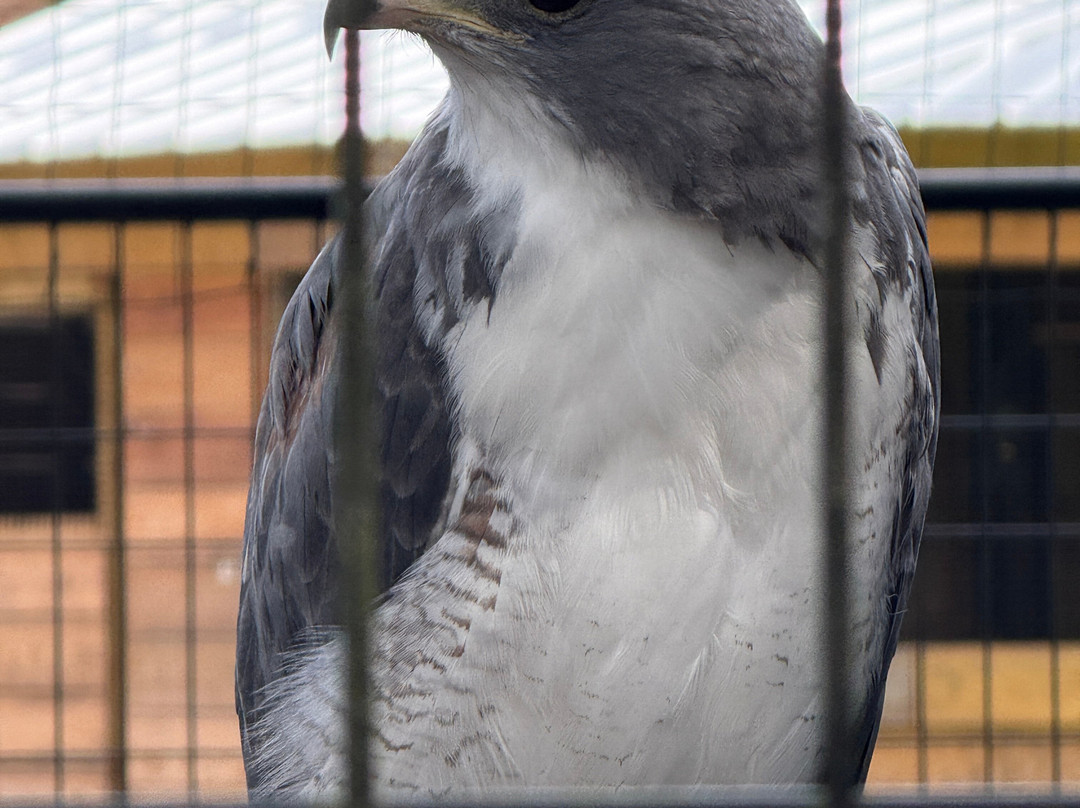 North Florida Wildlife Center-Lamont必去景点