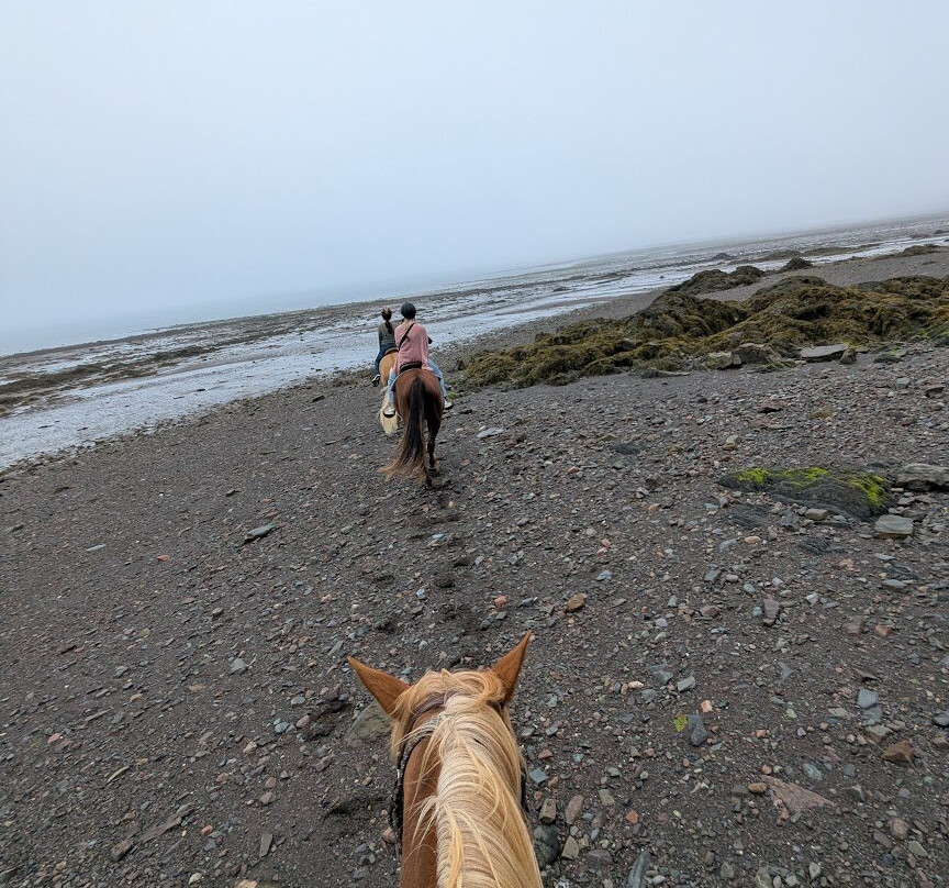Spirit Reins Ranch-Parrsboro必去景点