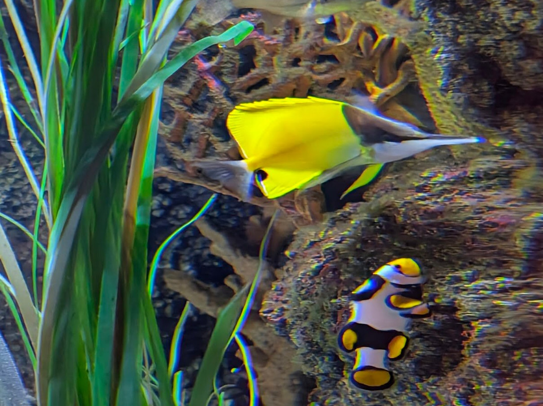 SEA LIFE Timmendorfer Strand-蒂门多佛海滩必去景点