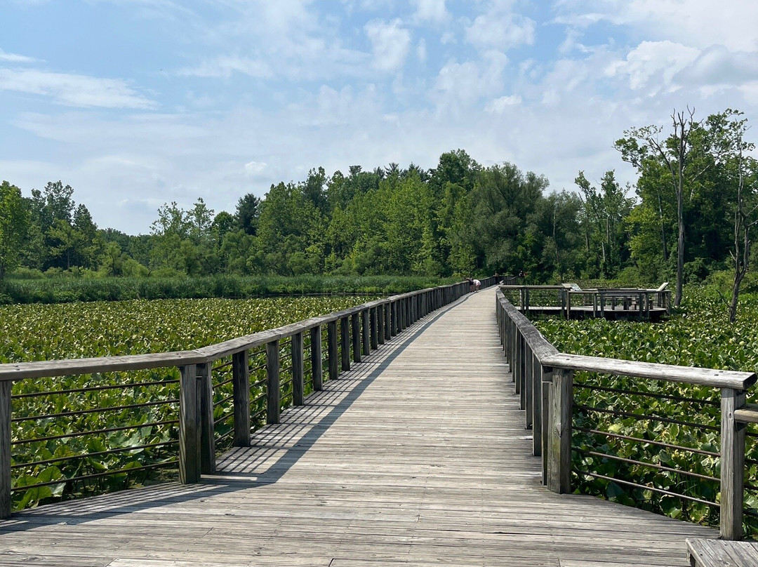 Beaver Marsh-Peninsula必去景点