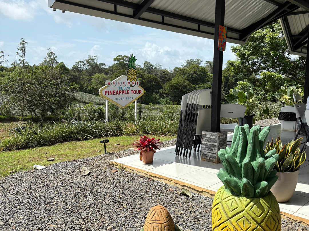 The Best Pineapple Tour Costa Rica-Rio Cuarto必去景点