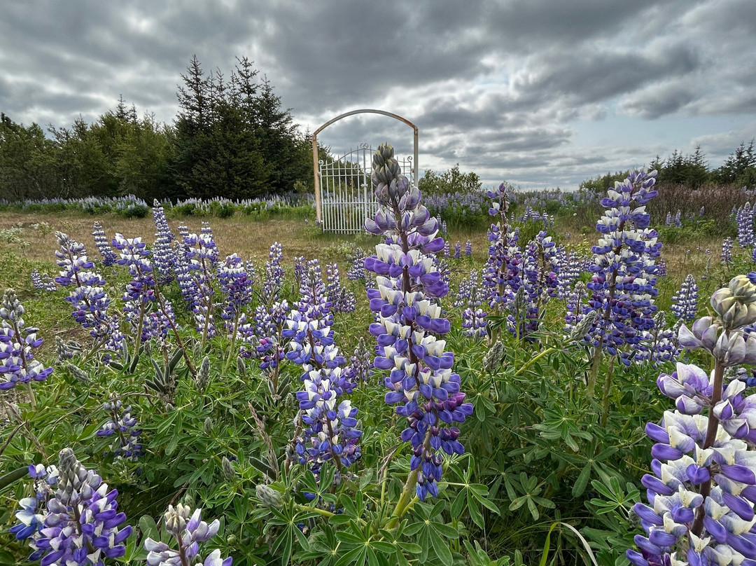 Keldur-海拉必去景点
