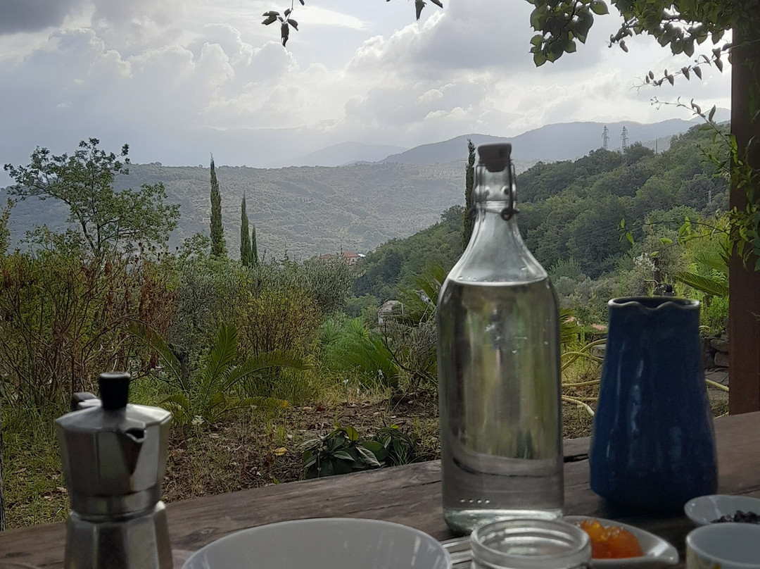 Albachiara Casa di Campagna Bed and Breakfast主图