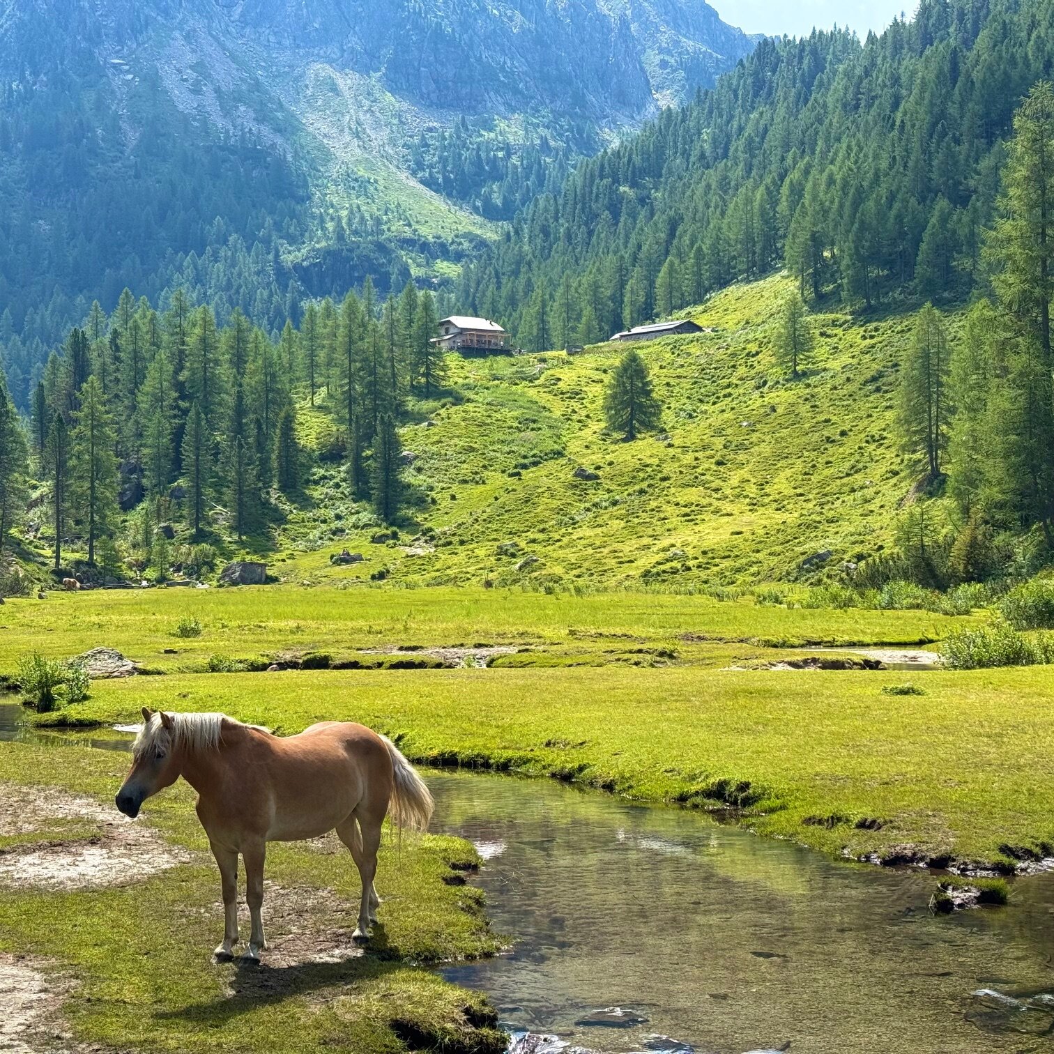 Albergo La Ruscoletta-官方